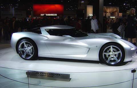 stingray
